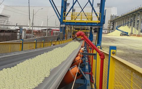 Oil resistant belts manufactured by Oriental Rubber